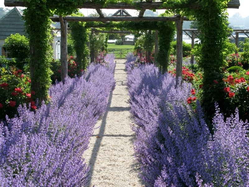 Martha Baker Landscape Design - Photo 10
