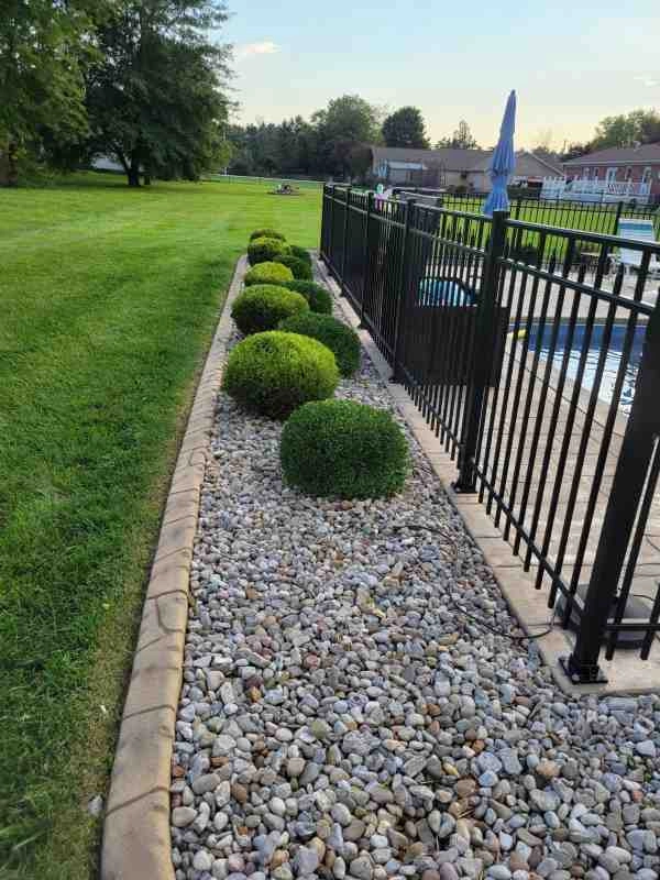 Alberto Alavez Professional Lawn Services LLC 4 by Alberto Alavez Professional Lawn Services LLC - Photo 95