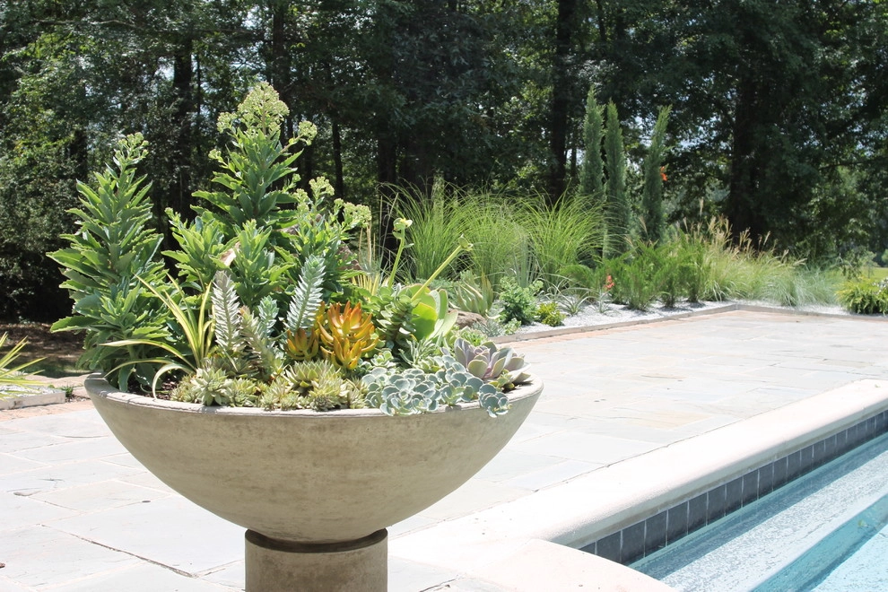 Brookhaven Garden Design + Container Garden by Martinson's Garden Works - Photo 13