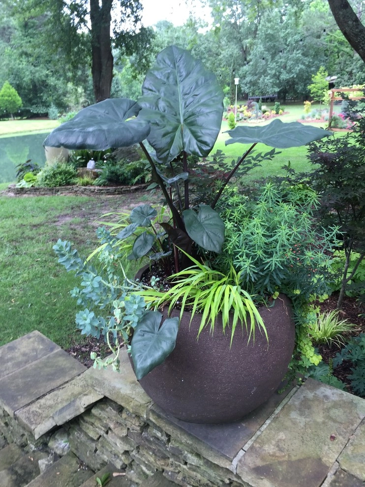 Container Gardening by Martinson's Garden Works - Photo 54