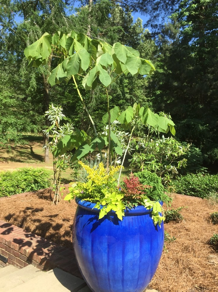 Container Gardening by Martinson's Garden Works - Photo 73