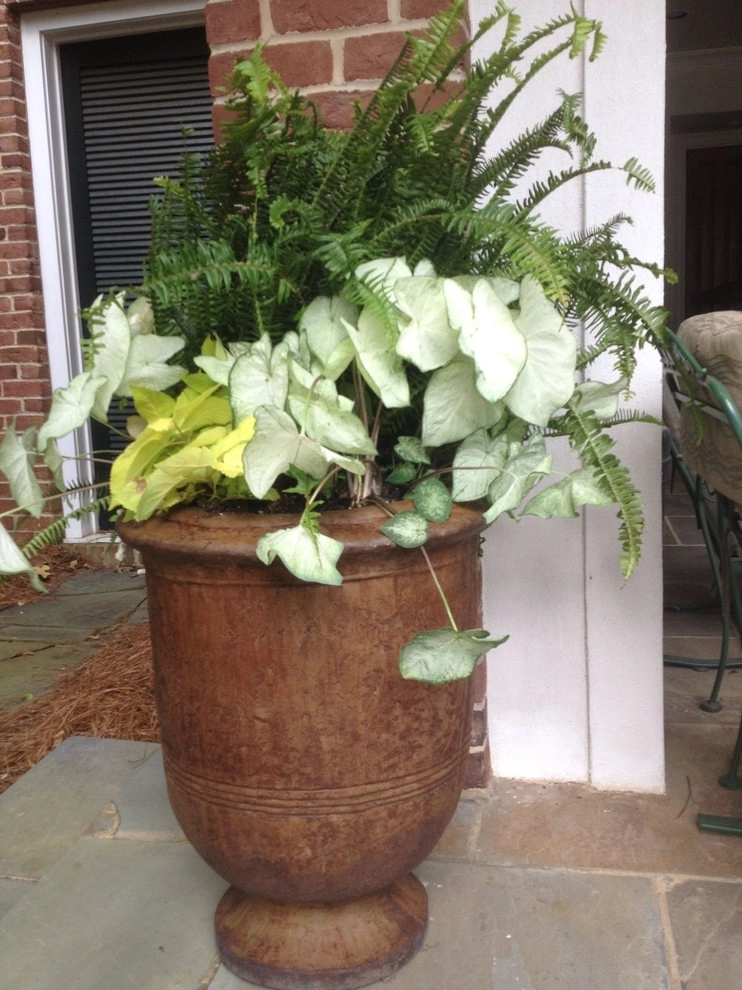 Container Gardening by Martinson's Garden Works - Photo 16