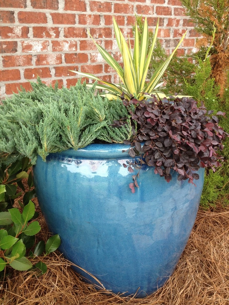 Madison Container Garden by Martinson's Garden Works - Photo 5