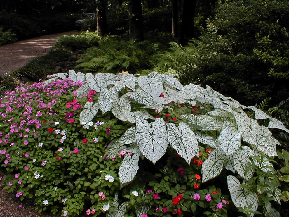 Design / Build Gallery | Randolph W. Graves, ASLA by Martinson's Garden Works - Photo 7