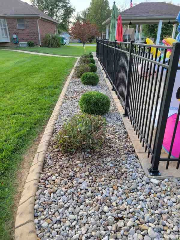 Alberto Alavez Professional Lawn Services LLC 4 by Alberto Alavez Professional Lawn Services LLC - Photo 35