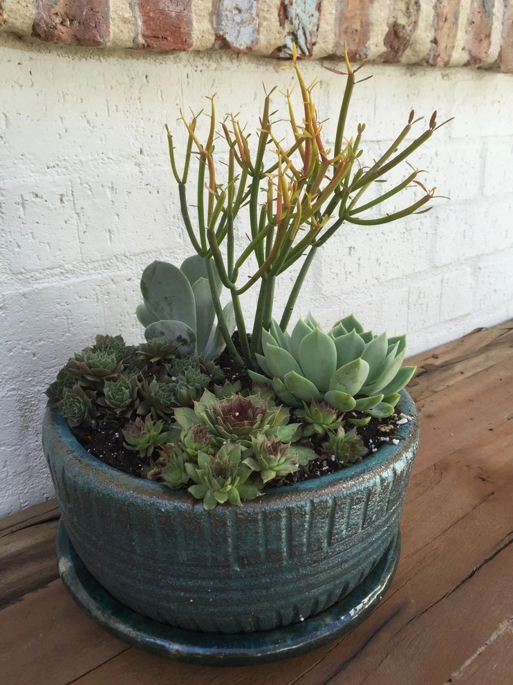 Ironwood Plantation Container Garden by Martinson's Garden Works - Photo 11