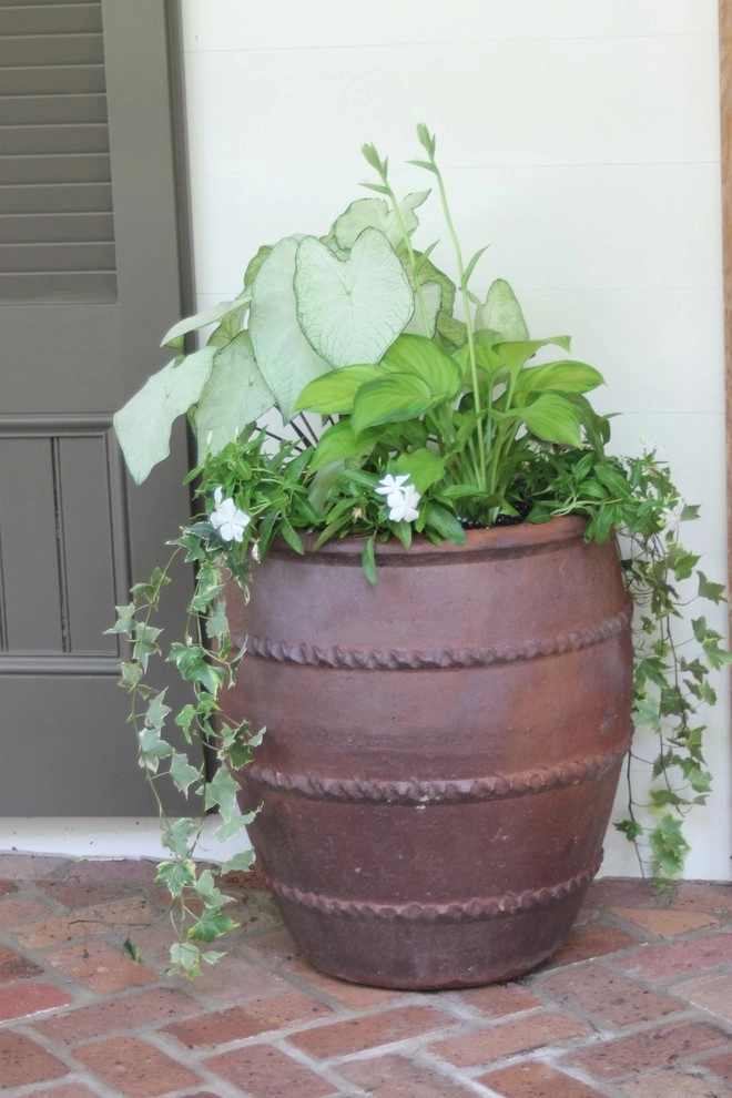 Brookhaven Garden Design + Container Garden by Martinson's Garden Works - Photo 2