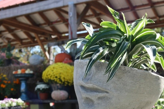 Container Gardening by Martinson's Garden Works - Photo 56