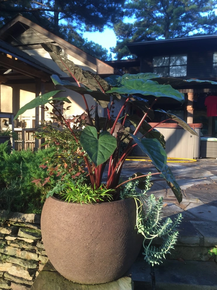 Container Gardening by Martinson's Garden Works - Photo 5