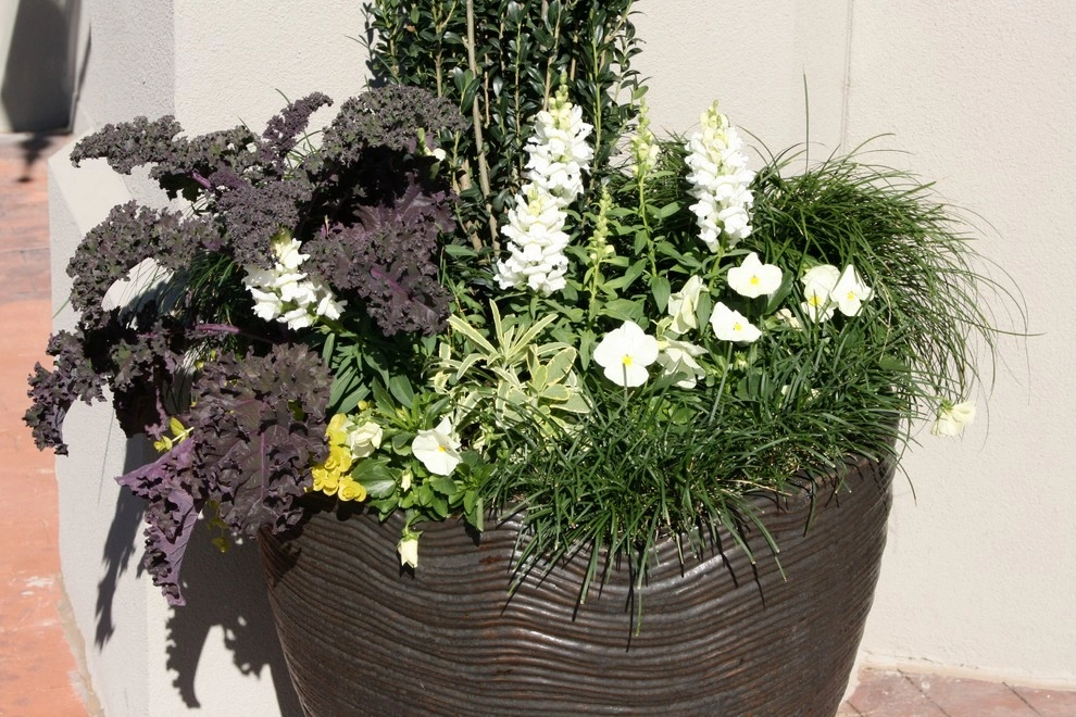Container Gardening by Martinson's Garden Works - Photo 60