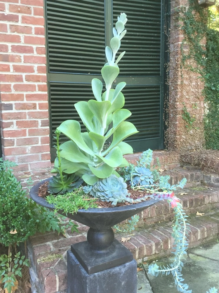 Container Gardening by Martinson's Garden Works - Photo 11