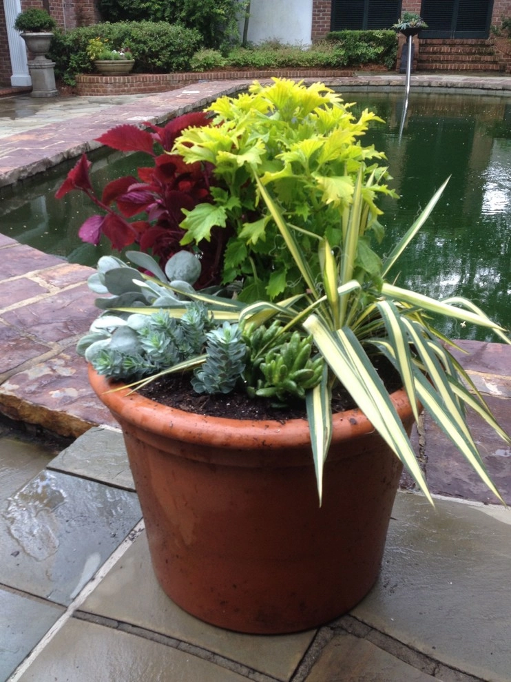 Container Gardening by Martinson's Garden Works - Photo 70