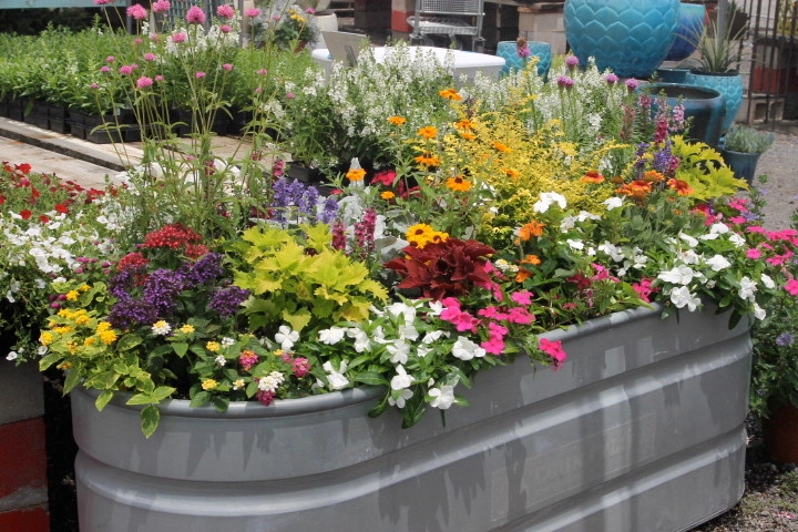 Container Gardening by Martinson's Garden Works - Photo 53