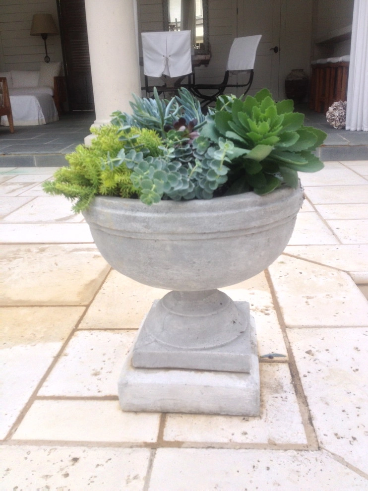 Jackson Garden Design + Container Garden by Martinson's Garden Works - Photo 5