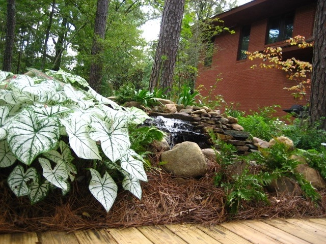 Design / Build Gallery | Randolph W. Graves, ASLA by Martinson's Garden Works - Photo 20