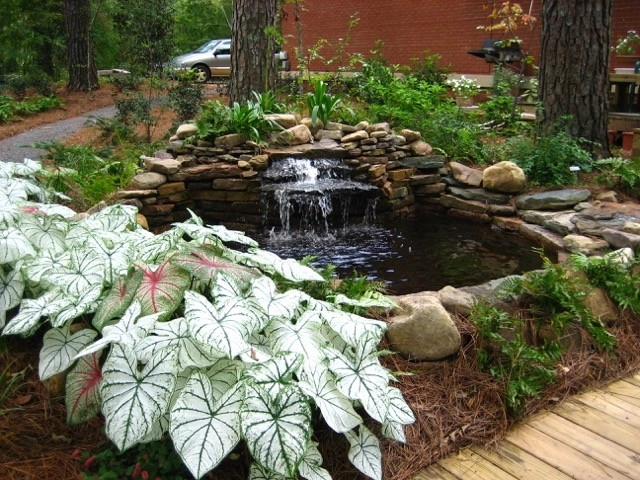 Martinson's Garden Works - Photo 2