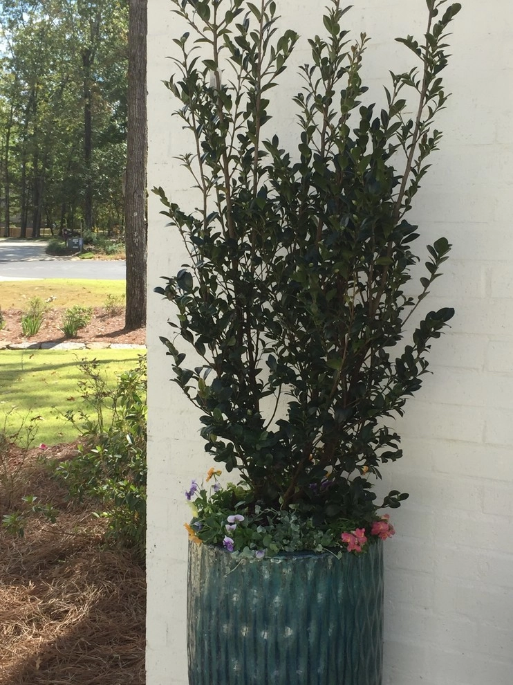 Ironwood Plantation Container Garden by Martinson's Garden Works - Photo 9