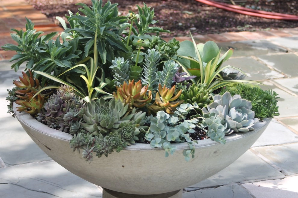Brookhaven Garden Design + Container Garden by Martinson's Garden Works - Photo 10