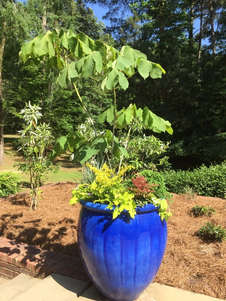 Container Gardening by Martinson's Garden Works - Photo 4