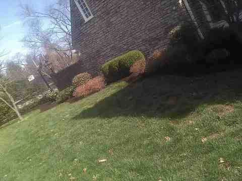 Alberto Alavez Professional Lawn Services LLC 4 by Alberto Alavez Professional Lawn Services LLC - Photo 183