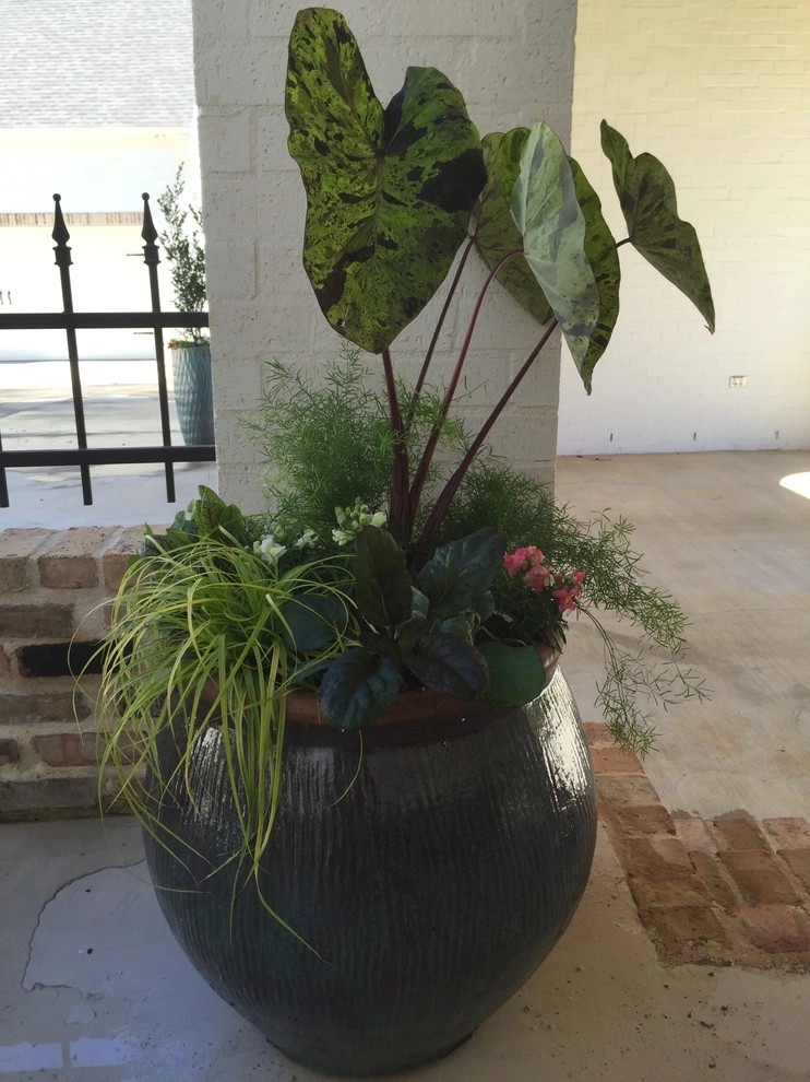 Container Gardening by Martinson's Garden Works - Photo 36