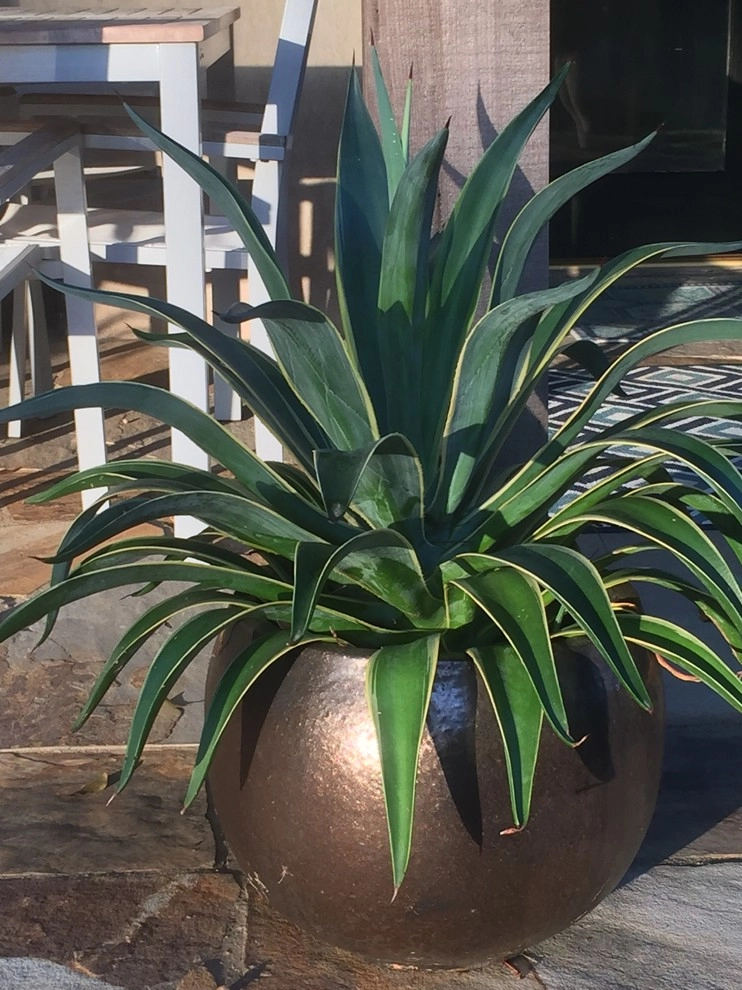 Container Gardening by Martinson's Garden Works - Photo 3