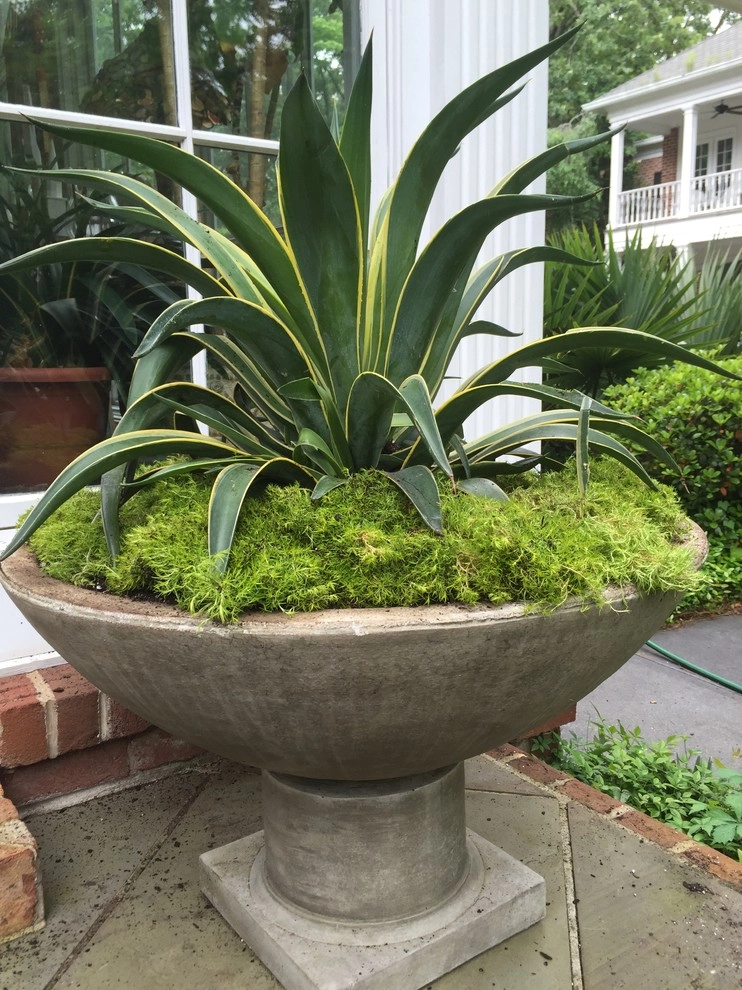 Container Gardening by Martinson's Garden Works - Photo 43