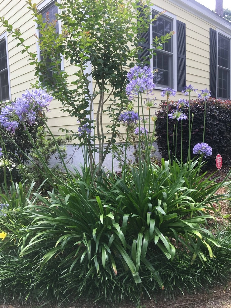 Design / Build Gallery by Martinson's Garden Works - Photo 17