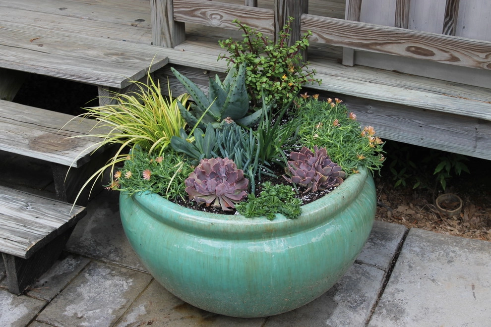 Bridgewater Garden Design + Container Garden by Martinson's Garden Works - Photo 7