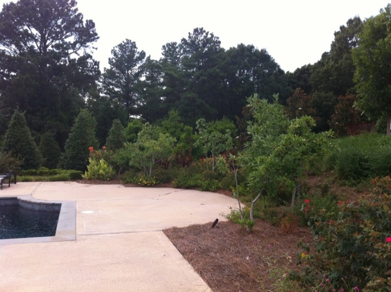 Design / Build Gallery | Randolph W. Graves, ASLA by Martinson's Garden Works - Photo 113