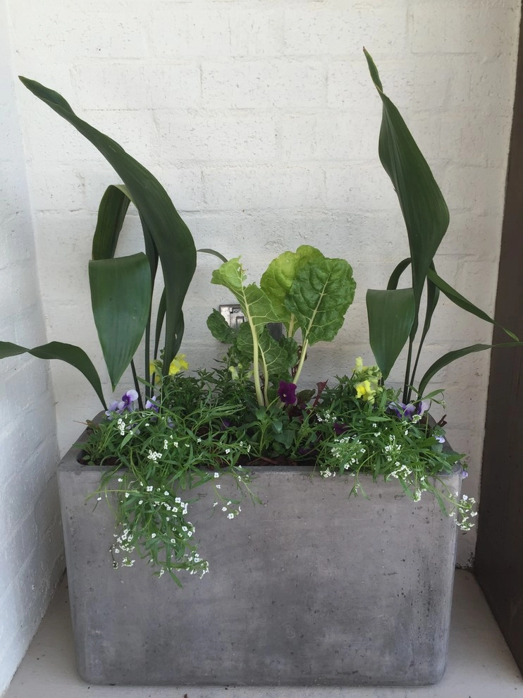 Ironwood Plantation Container Garden by Martinson's Garden Works - Photo 12