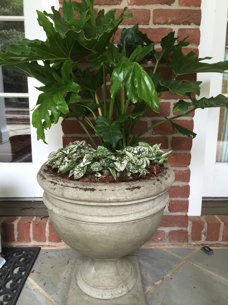 Container Gardening by Martinson's Garden Works - Photo 15