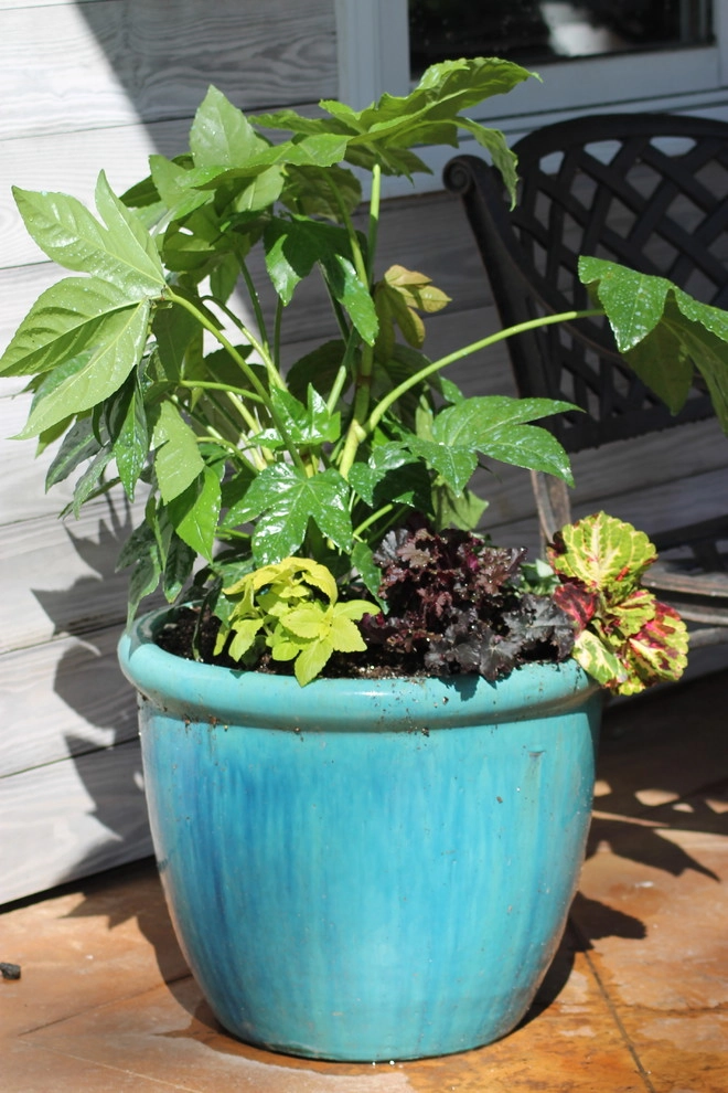 Martinson's Garden Works - Photo 3