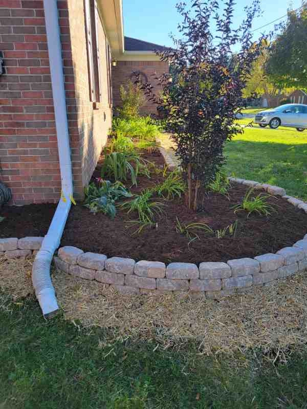 Alberto Alavez Professional Lawn Services LLC 7 by Alberto Alavez Professional Lawn Services LLC - Photo 42