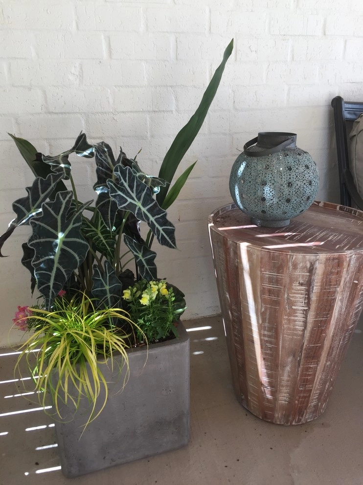 Ironwood Plantation Container Garden by Martinson's Garden Works - Photo 6
