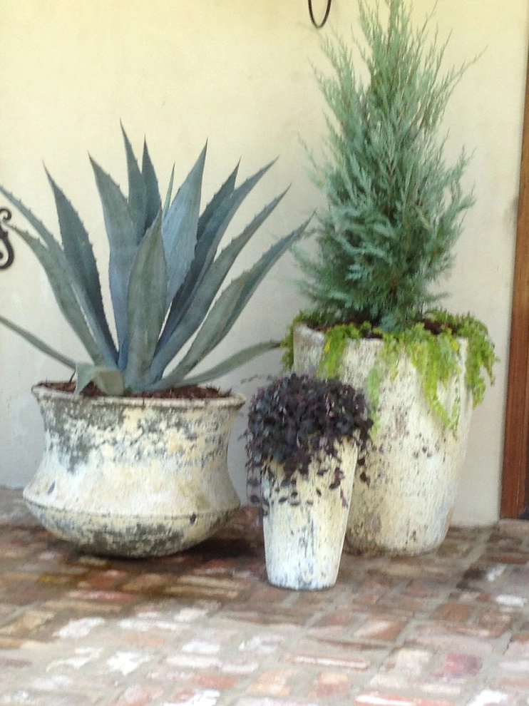 Container Gardening by Martinson's Garden Works - Photo 77