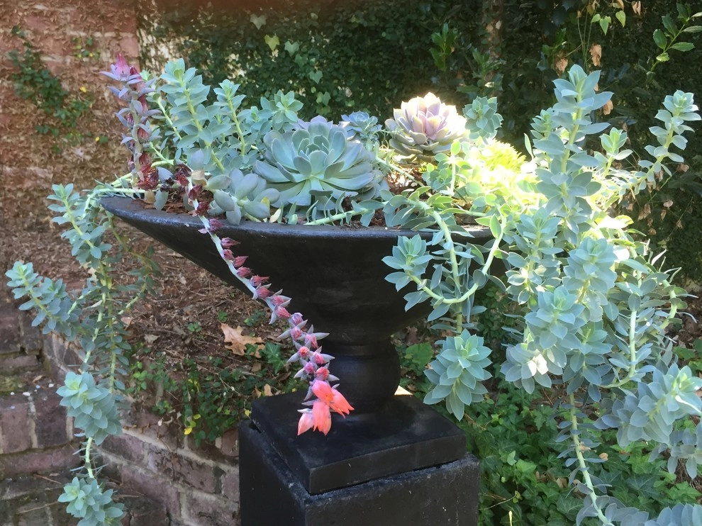 Container Gardening by Martinson's Garden Works - Photo 76