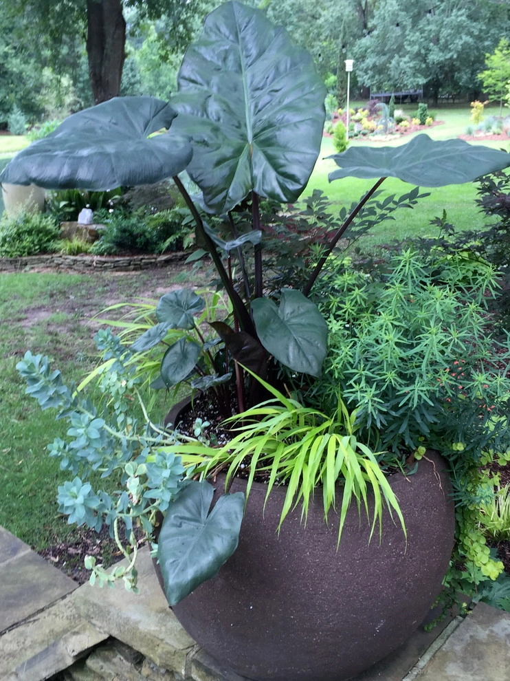 Container Gardening by Martinson's Garden Works - Photo 47
