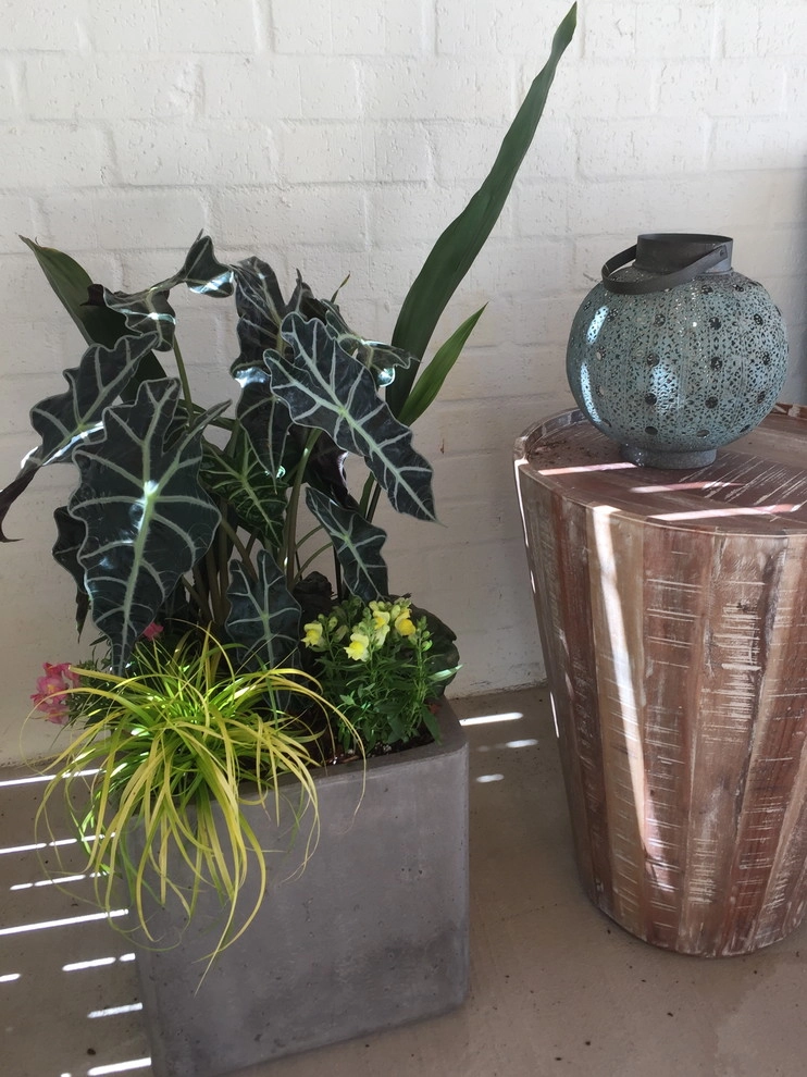 Container Gardening by Martinson's Garden Works - Photo 20