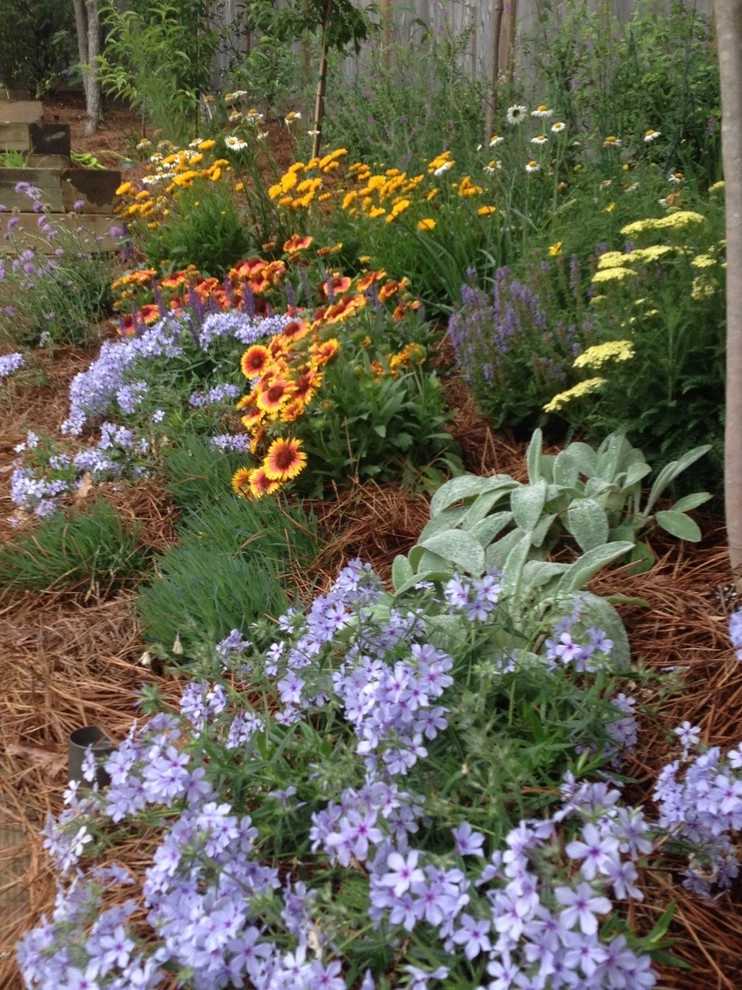 Jackson Garden Design + Container Garden by Martinson's Garden Works - Photo 2