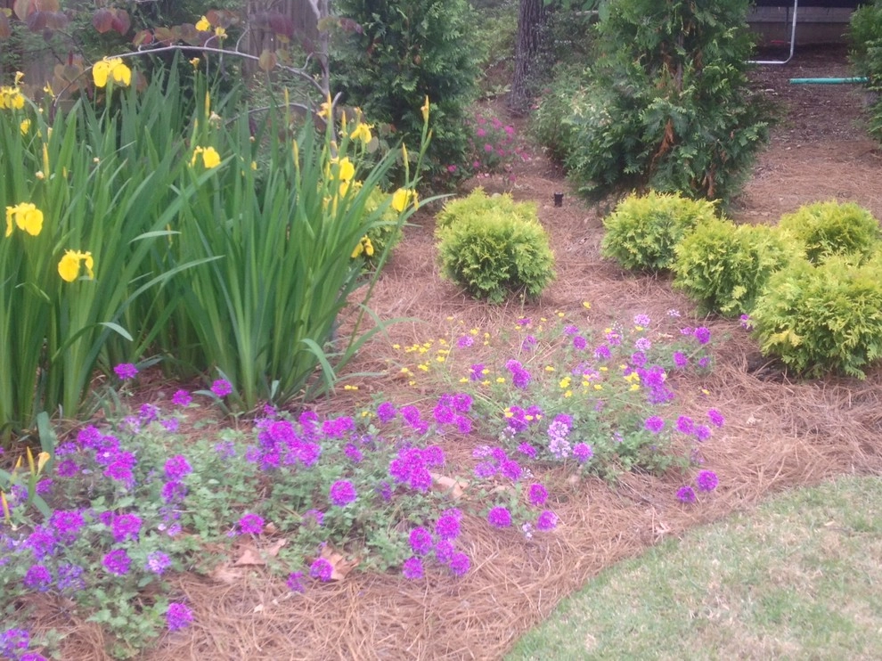 Jackson Garden Design + Container Garden by Martinson's Garden Works - Photo 10