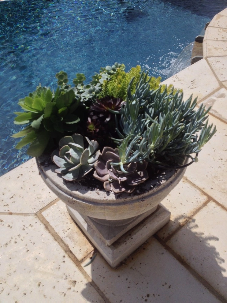 Jackson Garden Design + Container Garden by Martinson's Garden Works - Photo 11