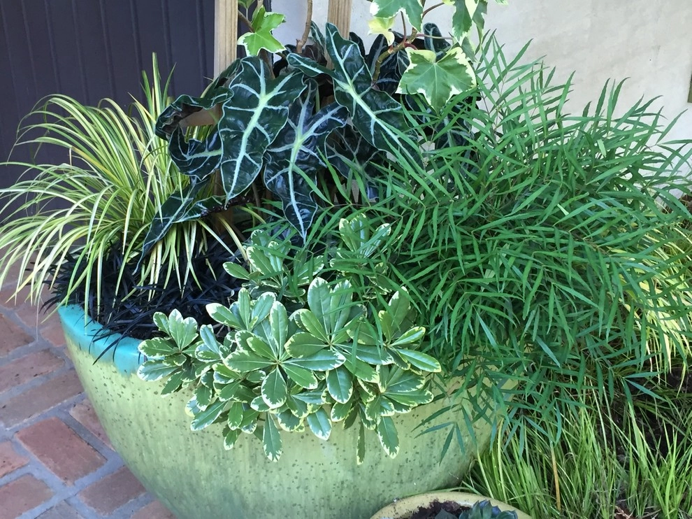 Container Gardening by Martinson's Garden Works - Photo 27