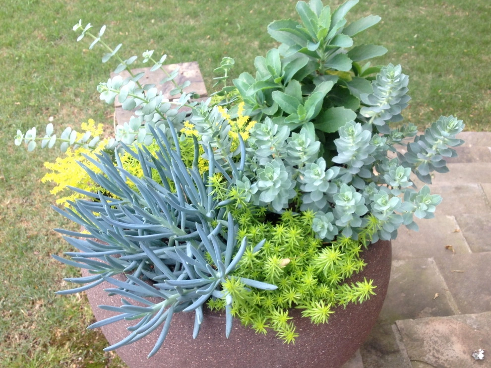Container Gardening by Martinson's Garden Works - Photo 48