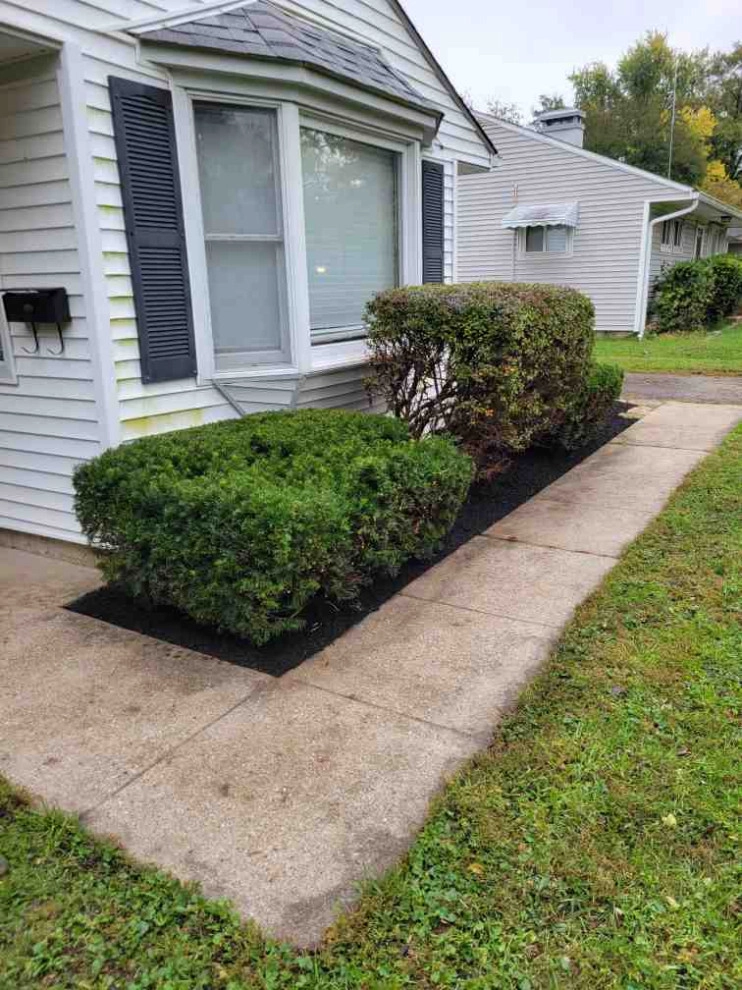 Alberto Alavez Professional Lawn Services LLC 7 by Alberto Alavez Professional Lawn Services LLC - Photo 2