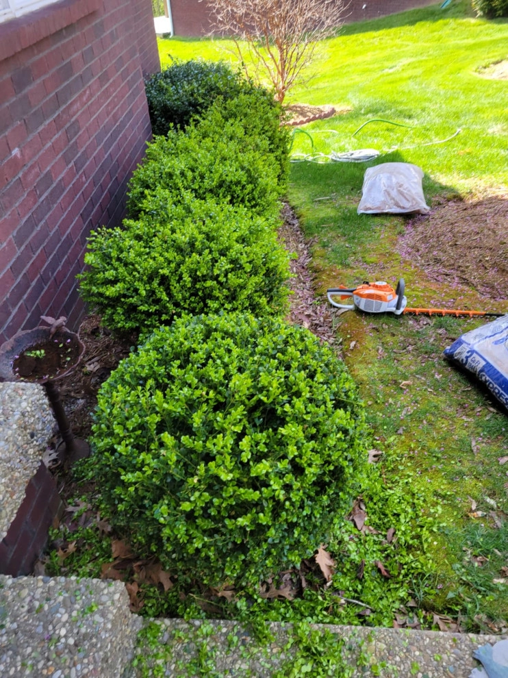 Alberto Alavez Professional Lawn Services LLC 14 by Alberto Alavez Professional Lawn Services LLC - Photo 9