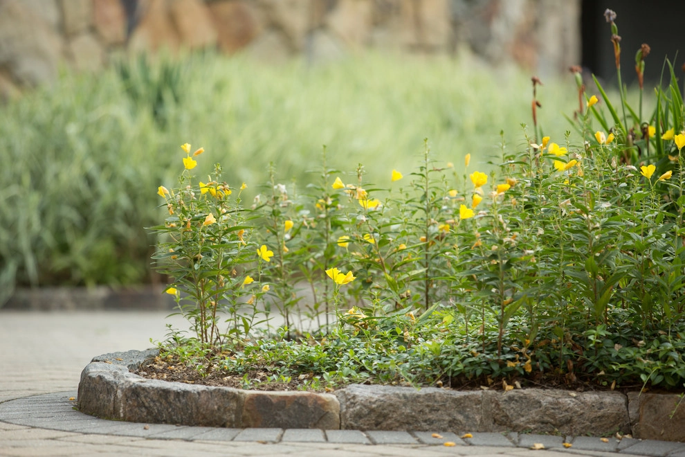 Stallion Trail by Matteson Landscape Architecture - Photo 6
