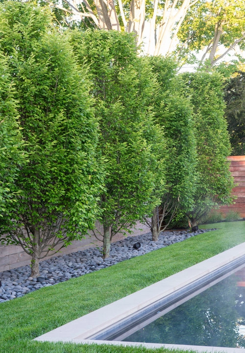 Compo Beach by Matteson Landscape Architecture - Photo 5