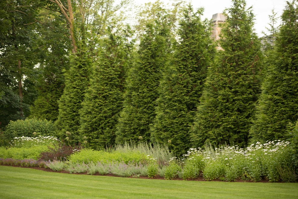 North Street by Matteson Landscape Architecture - Photo 2