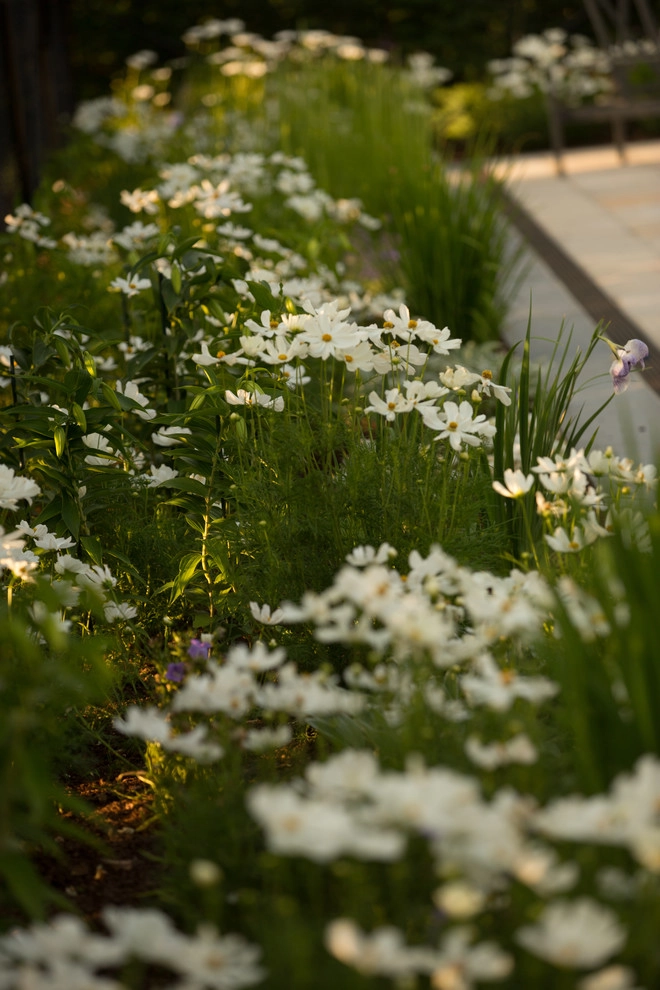 Matteson Landscape Architecture - Photo 9